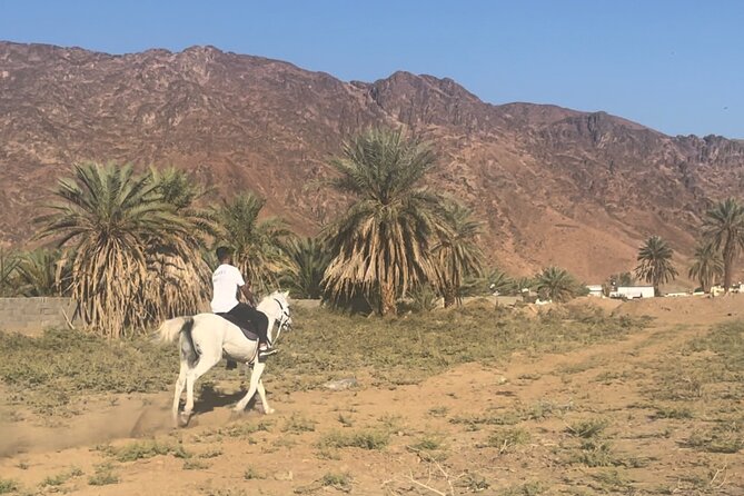 1 Hour Private Horse Riding in Madinah - Riding beneath Mount Uhud in Madinah
