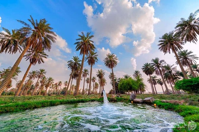 A tour in Al Ahsa the largest Oasis in the world - Key points to know before booking