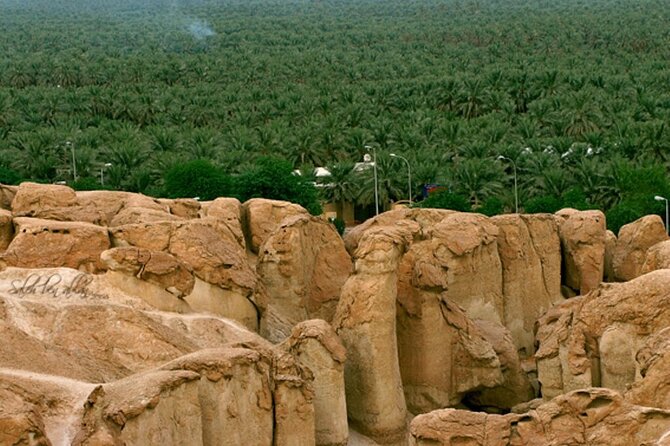 A tour in Al Ahsa the largest Oasis in the world - Ibrahim Palace and its 1571 mosque