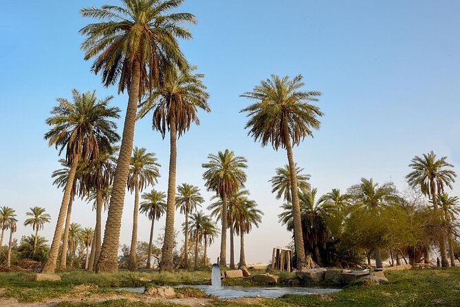 A tour in Al Ahsa the largest Oasis in the world - The guides and the value of local knowledge
