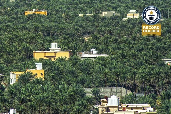 A tour in Al Ahsa the largest Oasis in the world - What the six-hour schedule feels like