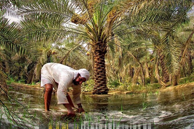 A tour in Al Ahsa the largest Oasis in the world - Qaisariah Souq, an old covered market