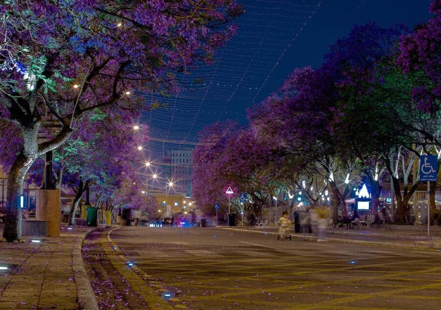 Abha City Tour & Rijal Almaa - Booking details that matter