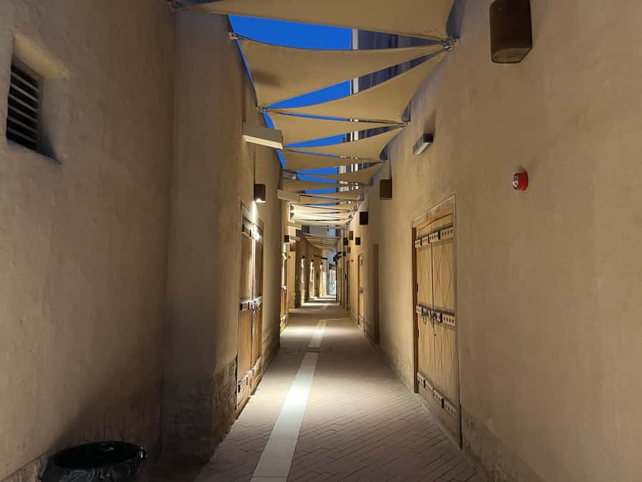 Al Masmak Fortress, Murabba Palace, and Souq Al Zal Tour - Who should book this tour?