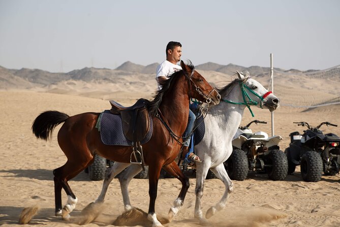 Desert Safari with Quad Bike Tours Jeddah - A Short Stop at Bahrah Camel Farm