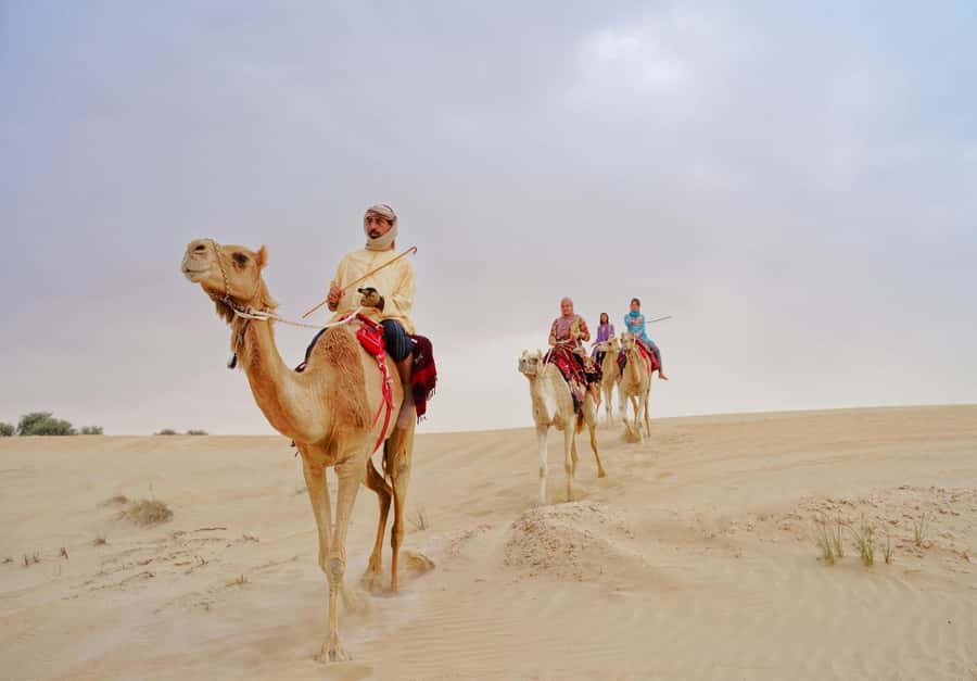 Dubai: Desert Safari, Camel Ride, Sandboard & Buffet Dinner - Key points to know before booking