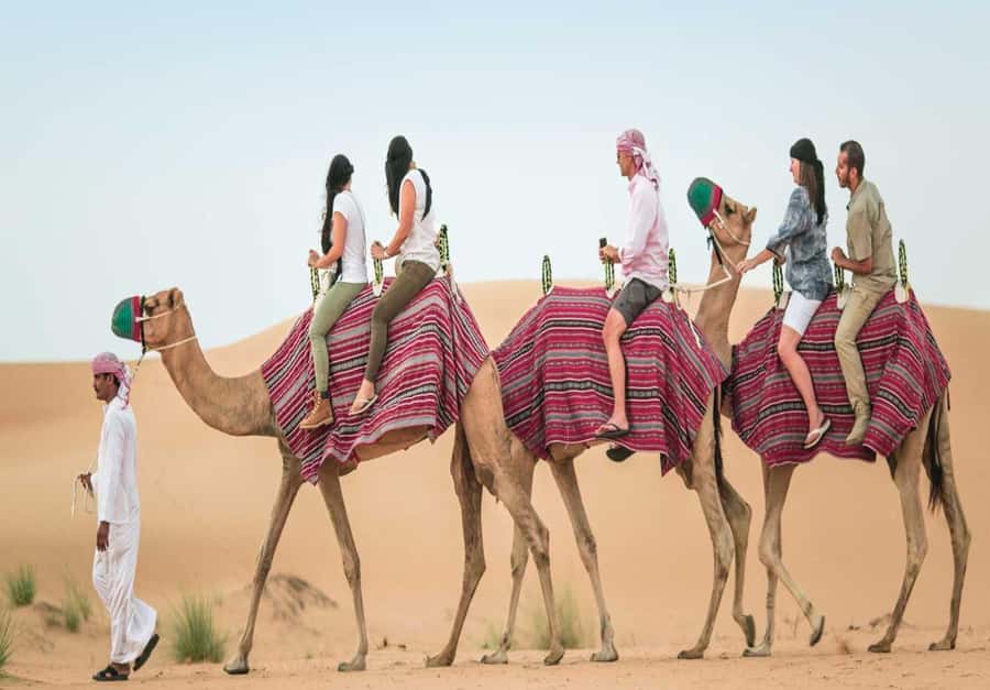 Dubai: Desert Safari, Camel Ride, Sandboard & Buffet Dinner - Who will get the most from this safari