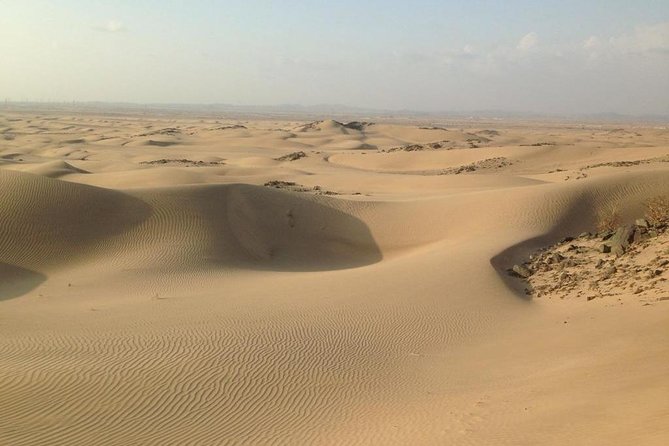 Dune Bashing Desert Safari Trip - The guide can shape the whole day