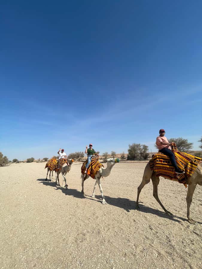 Edge of The World Riyadh,Camel Ride ,Bat Cave Visit & Dinner - The camel ride, charming but brief