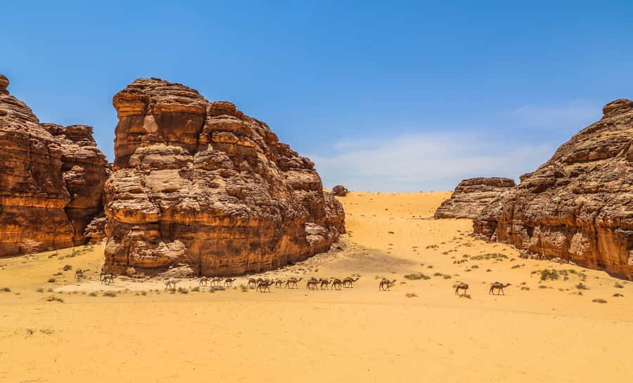 From AlUla: Hegra Tour - Why Hegra deserves a place in your AlUla plans