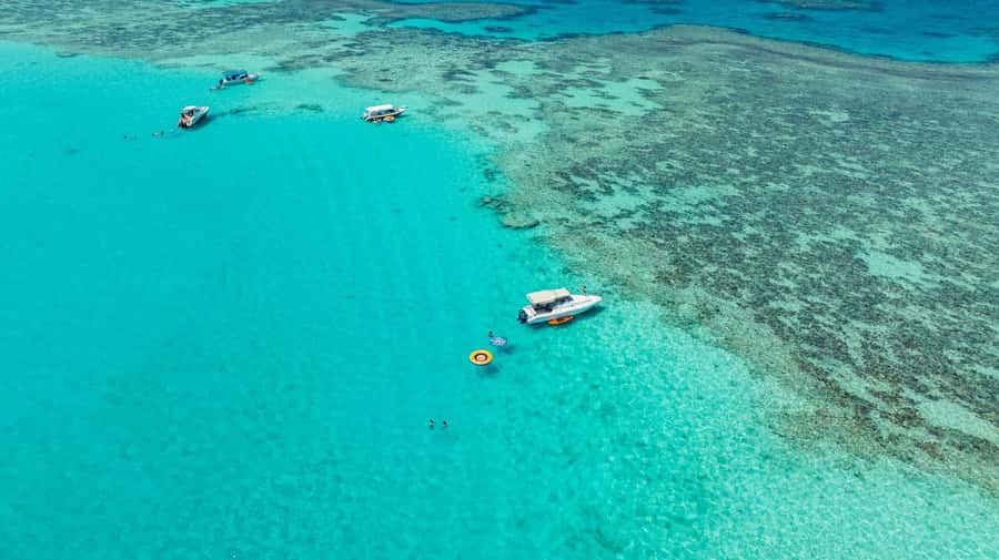 From Jeddah: Private Sea Trip to Bayadah Island - Key Points Before You Book
