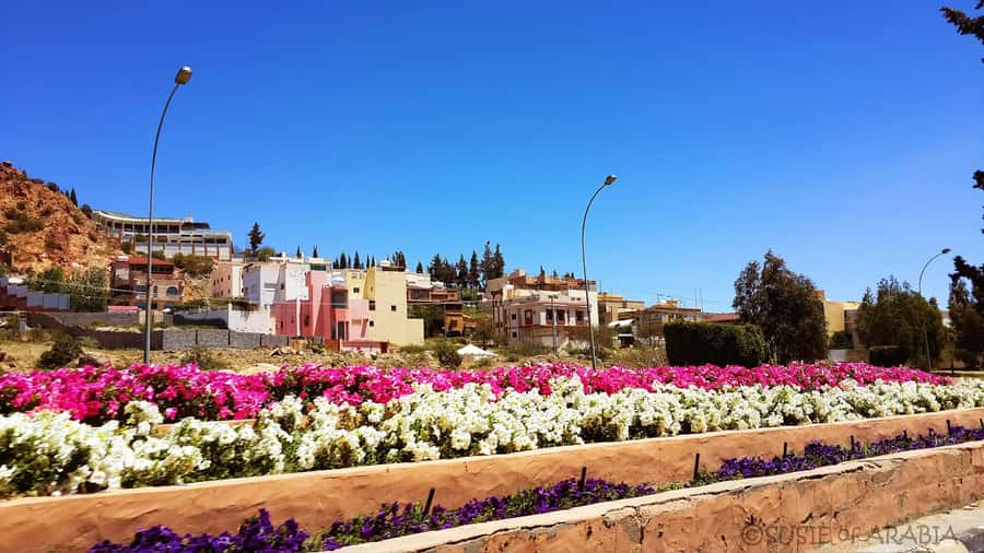 From Jeddah: Taif Day Tour - Al Rudaf Park for a slower family break