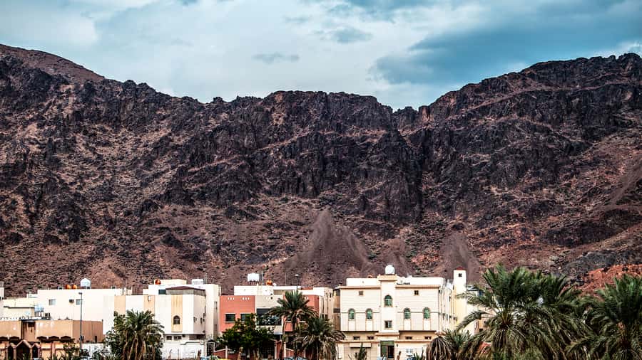 From Madinah: Half-Day Ziarah Tour - Should you book it?