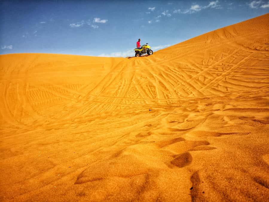 From Riyadh: Desert ATV Quad Bike Tour with Camel Ride - The camel ride changes the pace
