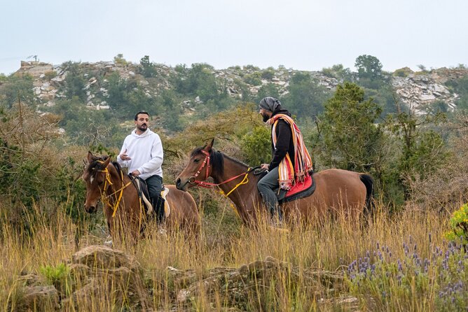 Horse Riding Experience in Riyadh | Tanomah | Jeddah | Al Ula - Riyadh: riding across red sand and rolling dunes