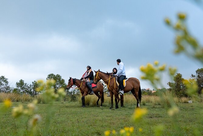 Horse Riding Experience in Riyadh | Tanomah | Jeddah | Al Ula - How the $75 price measures up