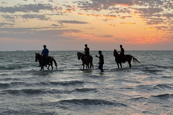Horse Riding Experience in Riyadh | Tanomah | Jeddah | Al Ula - Jeddah: a Red Sea ride with a practical warning
