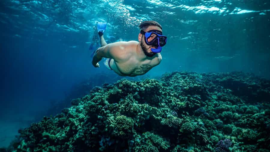 Jeddah: Guided Snorkeling Trip with Snacks and Drinks - Reaching the coral and fish
