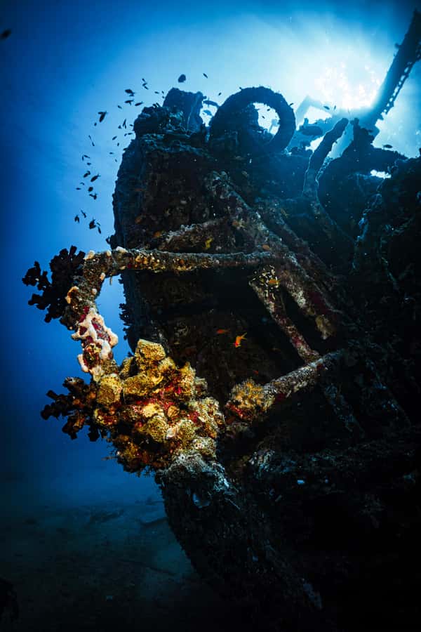Jeddah: Guided Snorkeling Trip with Snacks and Drinks - My final call on Haddad Scuba