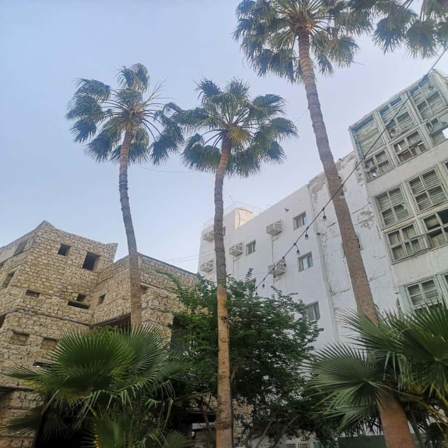 Jeddah: Historic District Tour by a Local licensed Guide - Two hours in Al-Balad’s lanes and squares