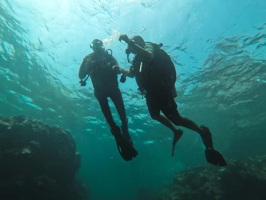 Jeddah: Red sea shore diving (Discovery) - What a 210-minute Red Sea outing feels like