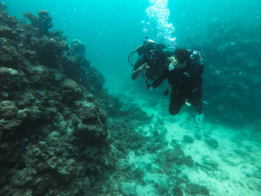 Jeddah: Red sea shore diving (Discovery) - Learning the gear, codes, and hand signals