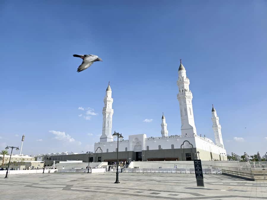 Madinah Culture & History Tour – Led by Local Guide - Wadi Al-Aqiq, a quieter change of pace