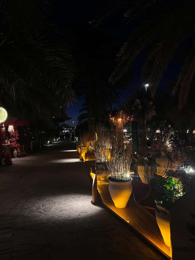 Madinah Culture & History Tour – Led by Local Guide - A Madinian farm for tea, sweets, and local flavor