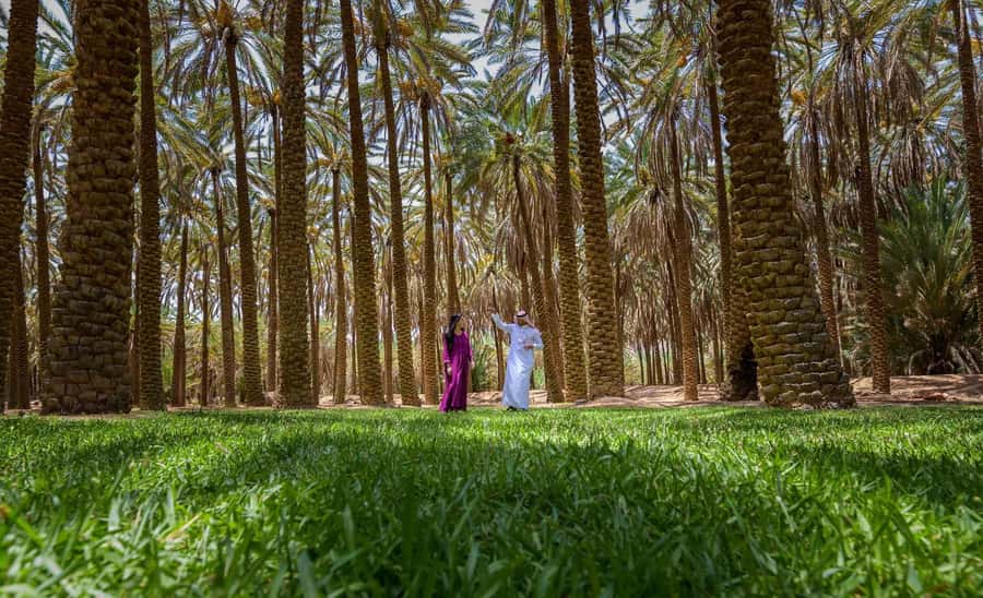 Oasis Adventure in Alula - The first steps along the 3km trail