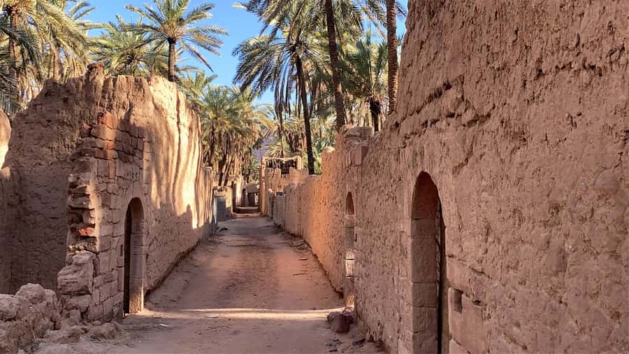 Oasis Adventure in Alula - Practical advice for a smoother visit