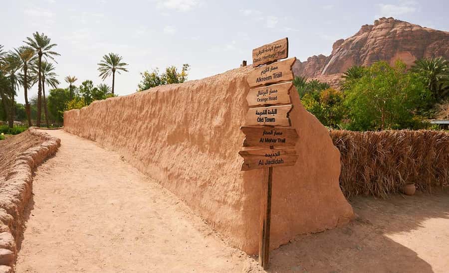 Oasis Adventure in Alula - Meeting at Heart of the Oasis