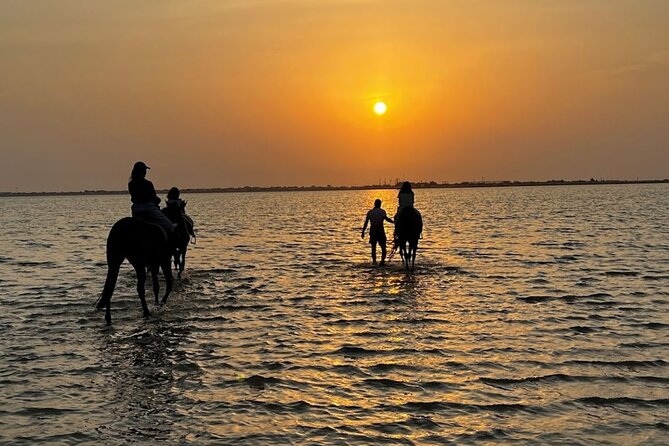 Private Horse Riding Experience at Red Sea - Key points to know before booking