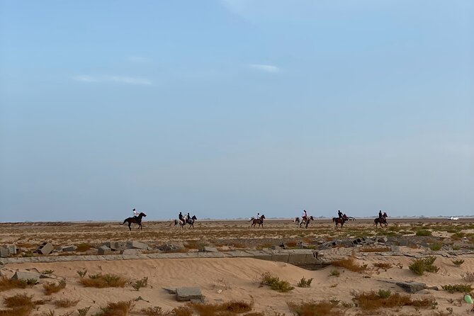 Private Horse Riding Experience at Red Sea - From Hooves Stud to the Red Sea