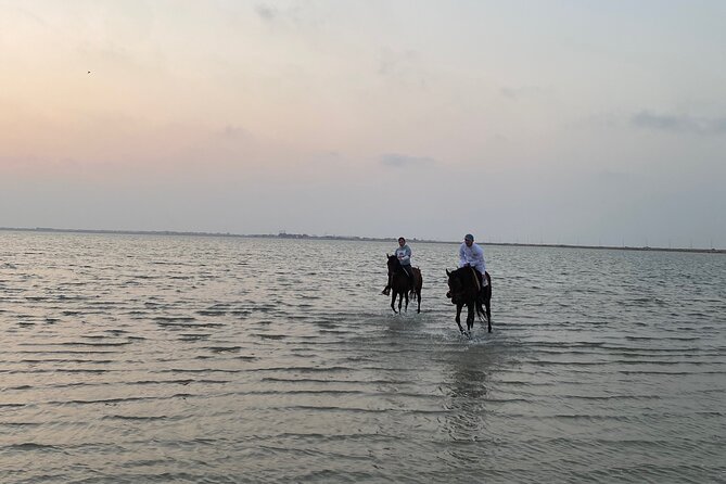 Private Horse Riding Experience at Red Sea - Reaching Dahban beach at sunset