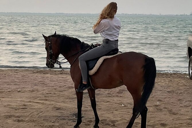 Private Horse Riding Experience at Red Sea - Riding with local handlers
