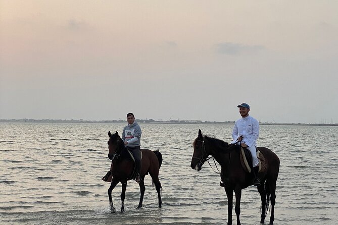 Private Horse Riding Experience at Red Sea - How much value do you get for $90?