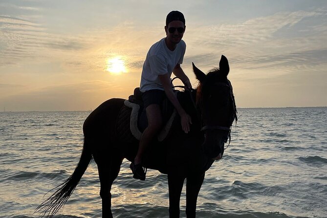 Private Horse Riding Experience at Red Sea - Practical details that affect the evening