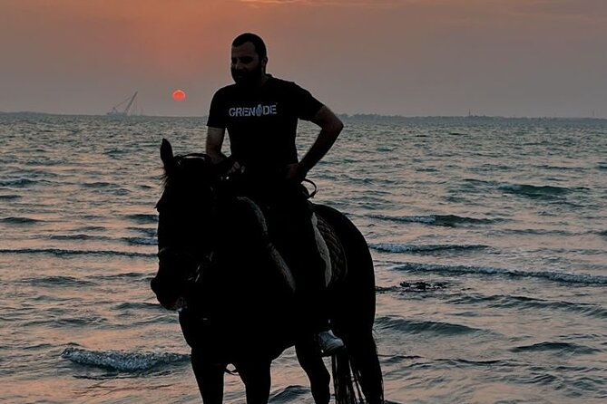 Private Horse Riding Experience at Red Sea - Who will enjoy this ride most?
