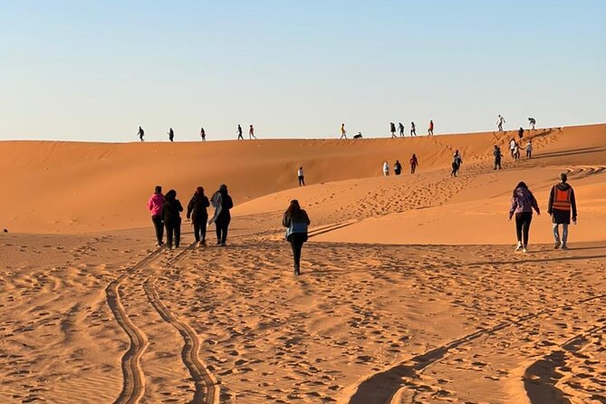 Red Sand Dunes Tour with Camel Ride ,Quad Biking, Heritage House - Dune bashing with a licensed driver