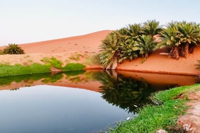 Riyadh City Tour with Camel Riding - A late start that leads into the Najd desert