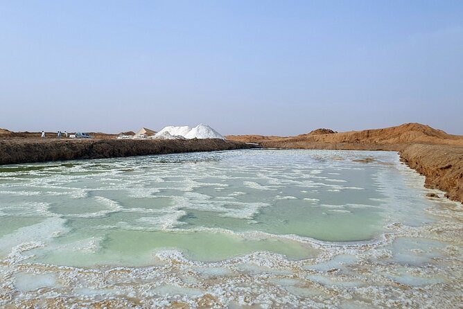 Riyadh City Tour with Camel Riding - Qasab’s salt-covered ground