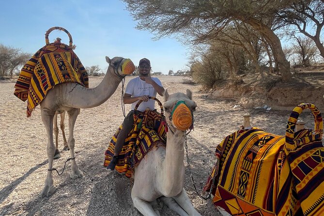 Riyadh City Tour with Camel Riding - Oasis Lake at sunset