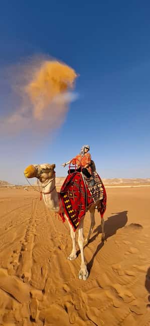 Riyadh: Desert Sand Dunes (VIT-Qude bike + Camel Ride) - A camel ride that keeps the pace gentle