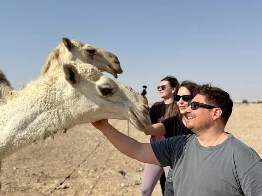 Riyadh: Edge Of The World, camels &Stargazing with 4x4 - What to pack and how to pace the day