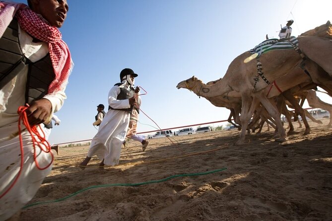 Riyadh Red Sand Dunes 4x4 (Camel Ride, Quad biking, Old Palace) - Who will enjoy this desert outing most?