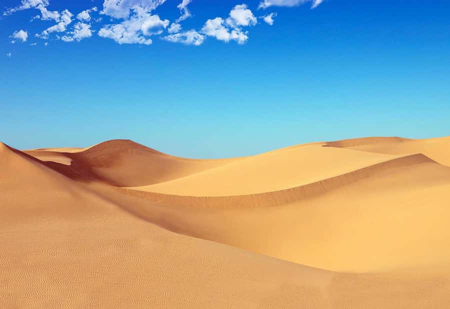 Riyadh: Sand Dunes Desert Safari, Quad Bike, Camel Ride - Key points at a glance