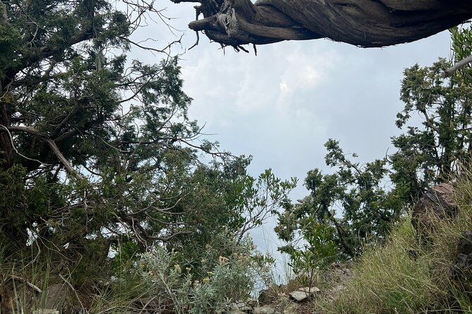 Sawda Mountains Hiking Trail - A guide who adds local context