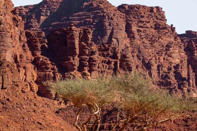 Wadi Disah Adventure from Tabuk | Al Ula - Who will enjoy this Saudi nature trip?